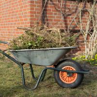 לאחר שסיימנו את עבודת הגיזום יש לאסוף את פסולת הגזם ולתאם את הפינוי עם הרשות המקומית